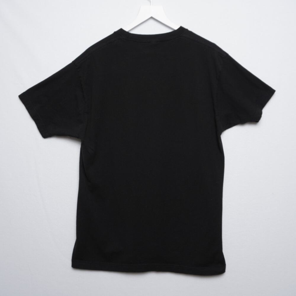 Love: Learning Observing Vibrating Evolving Black… - image 3